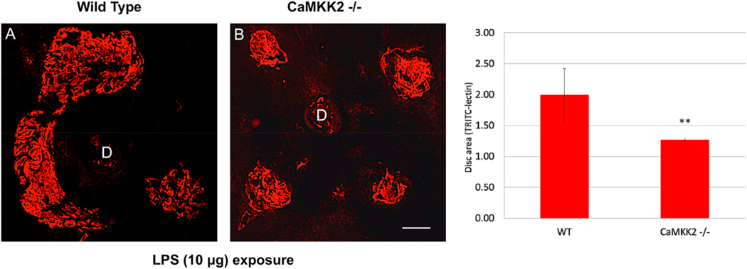 Fig. 23.