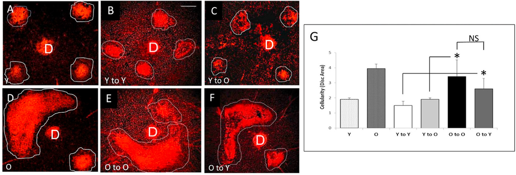 Fig. 17.