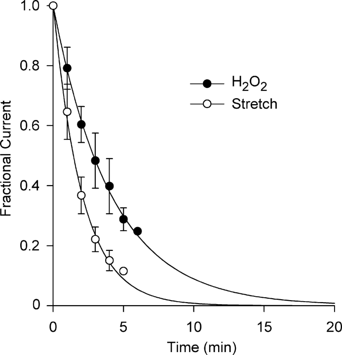 Figure 11. 