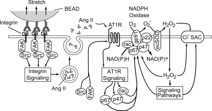 Figure 12. 