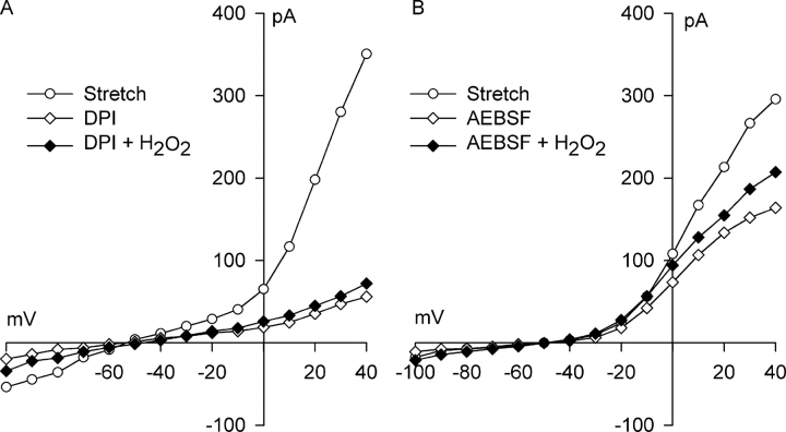 Figure 10. 