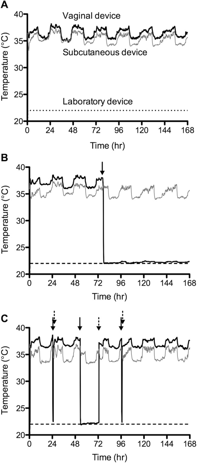 Fig 6