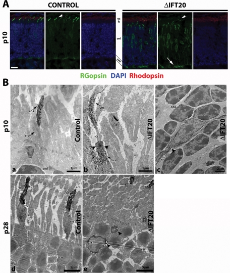 FIGURE 3: