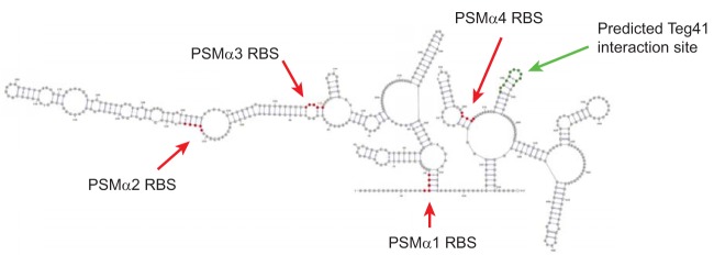 FIG 11