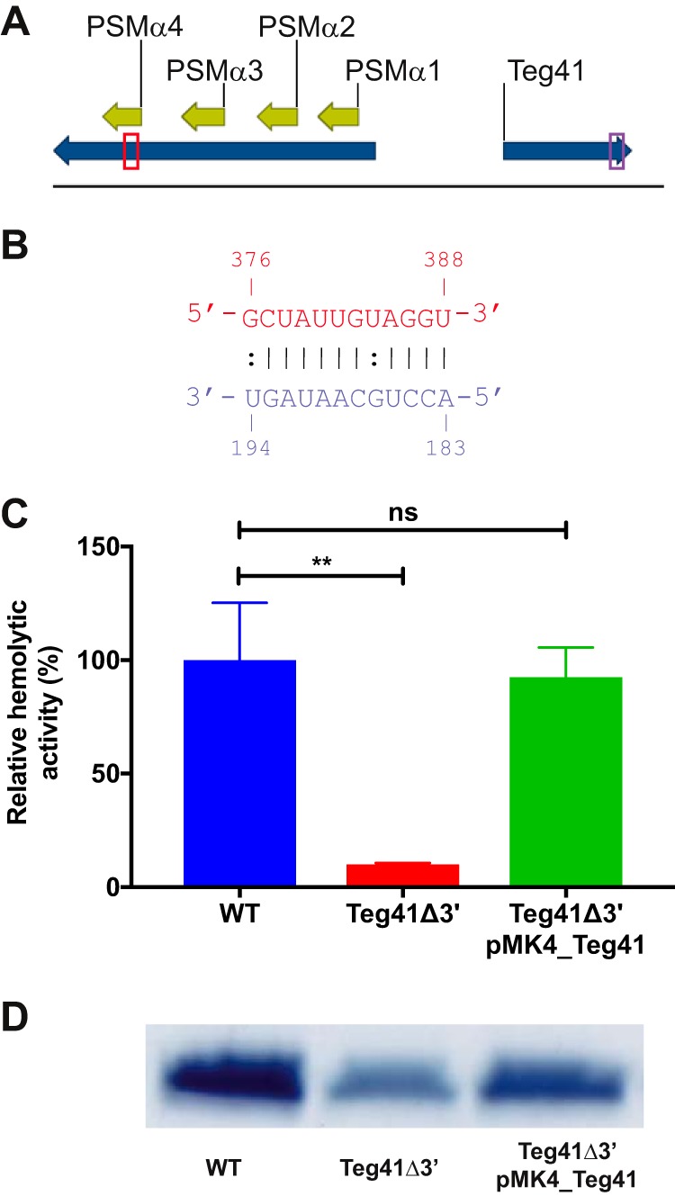 FIG 6