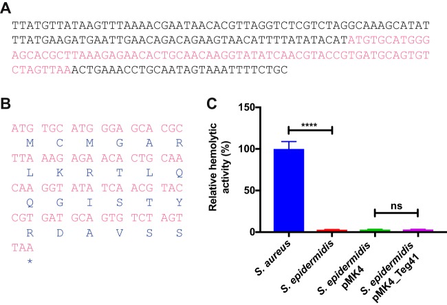 FIG 3