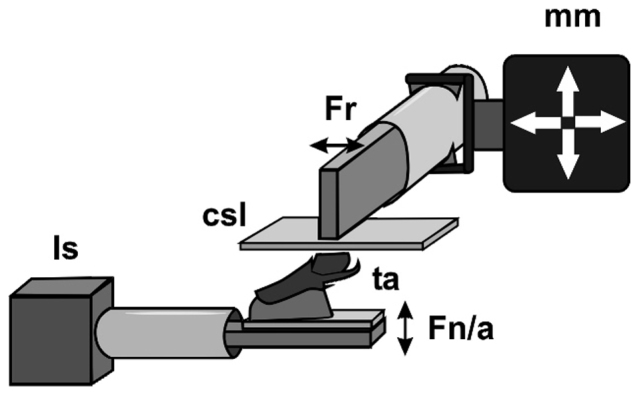 Figure 8