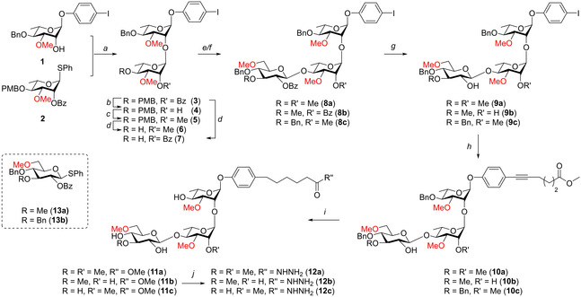 Scheme 1