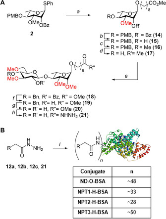 Scheme 2