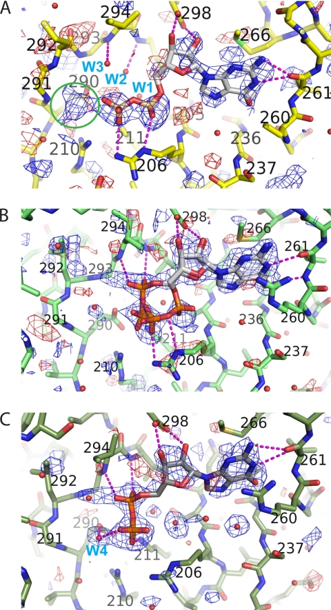 FIGURE 4.