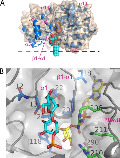 FIGURE 5.