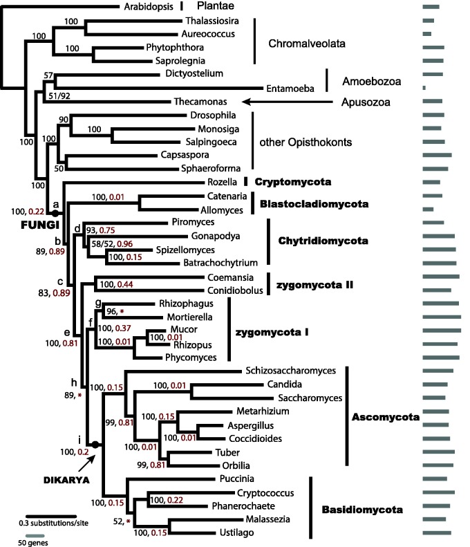 Fig. 1.—