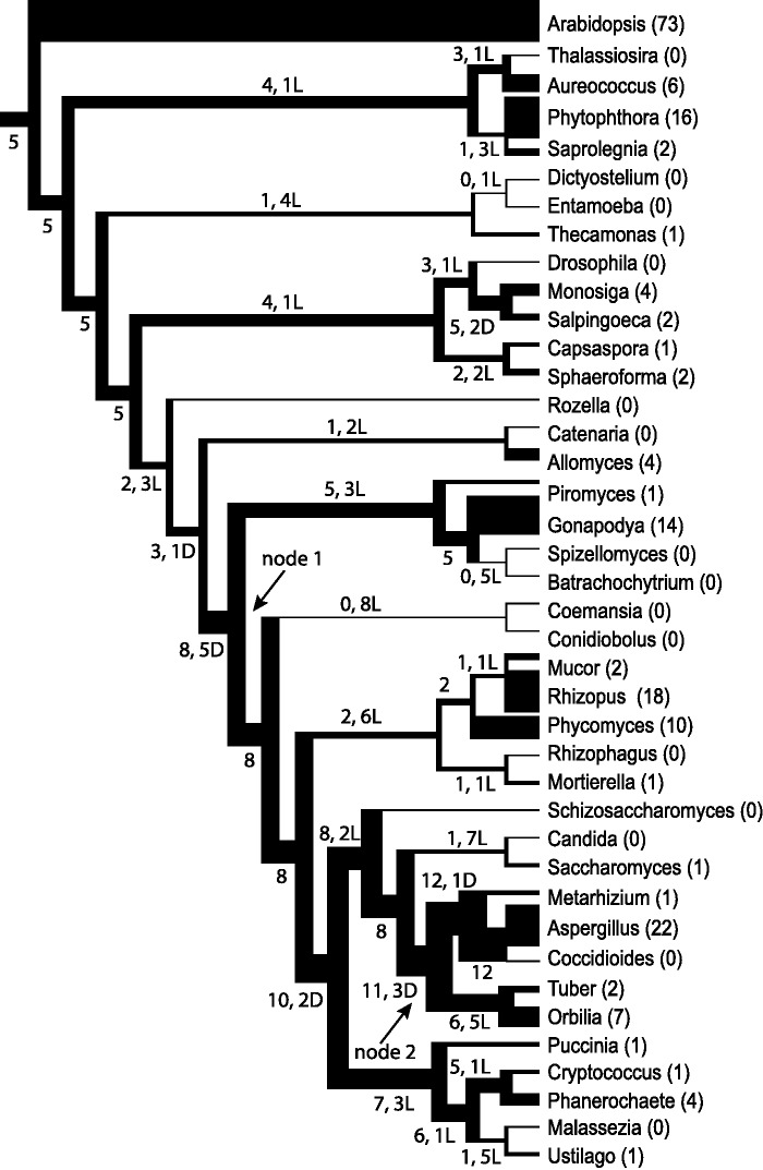 Fig. 2.—