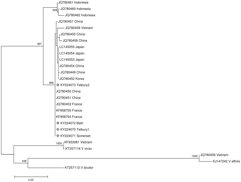 Fig 3