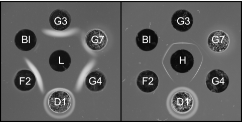 FIG. 4.