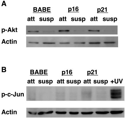 FIG. 8.