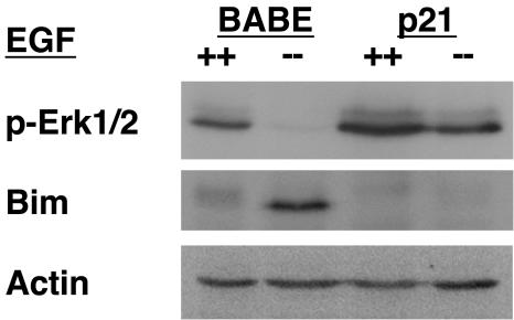 FIG. 9.