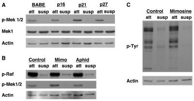 FIG. 7.