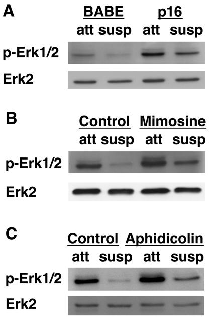 FIG. 5.