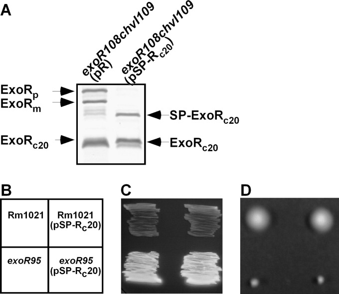 Fig 7