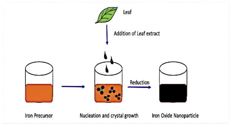 Figure 7