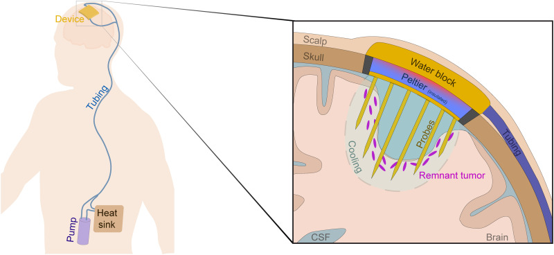 Fig. 7.