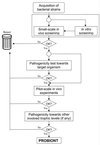 FIG. 1