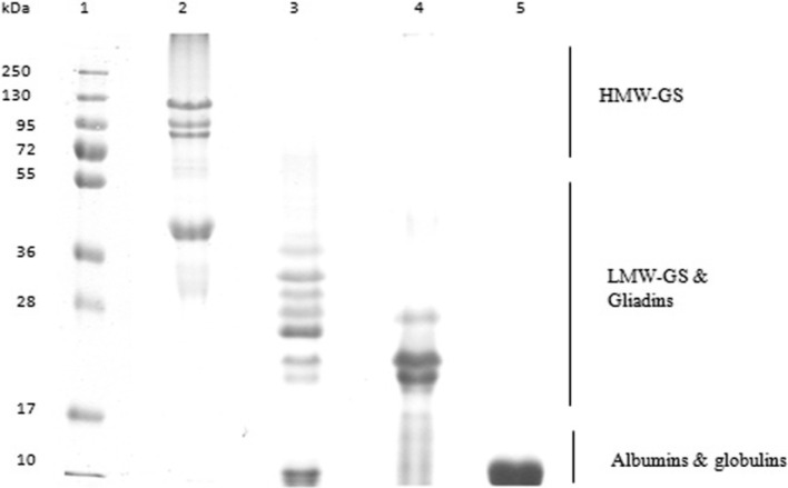 Fig. 2