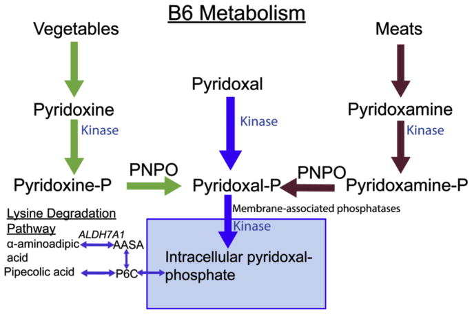 FIGURE 1