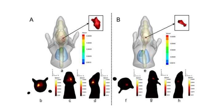 Fig. 4