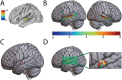 <b>Figure 2.</b>