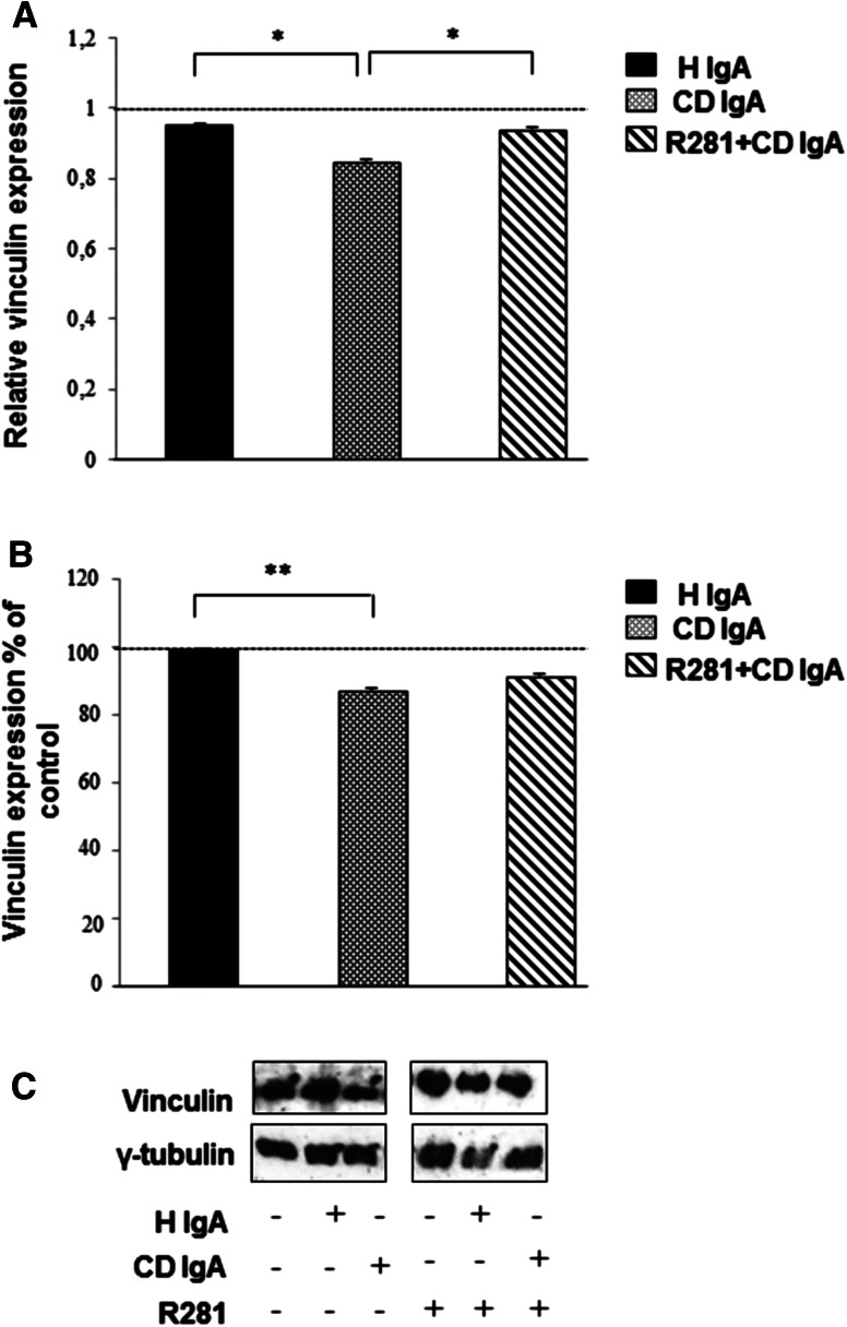 Fig. 6