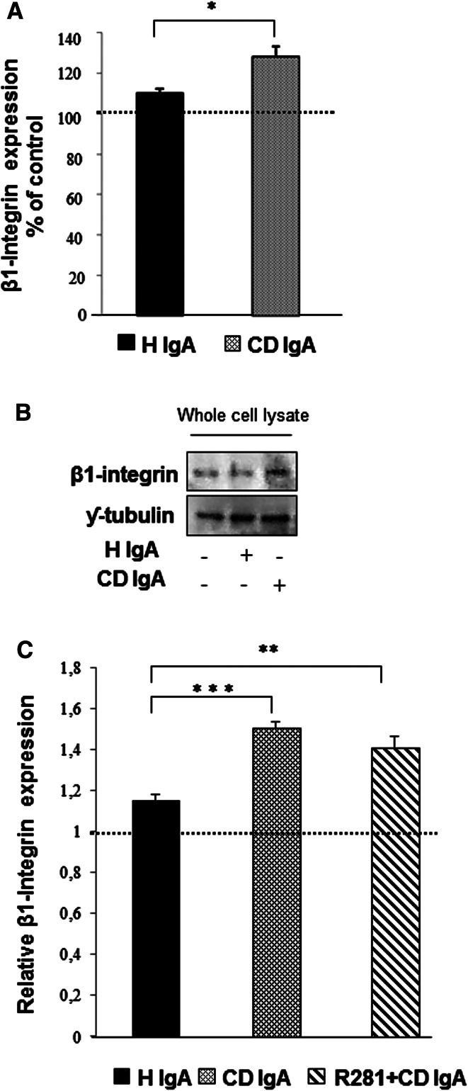 Fig. 5