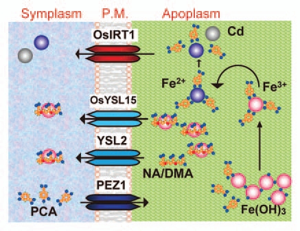 Figure 2