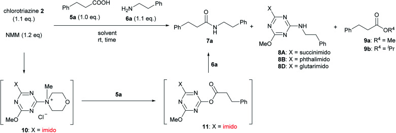 Scheme 3