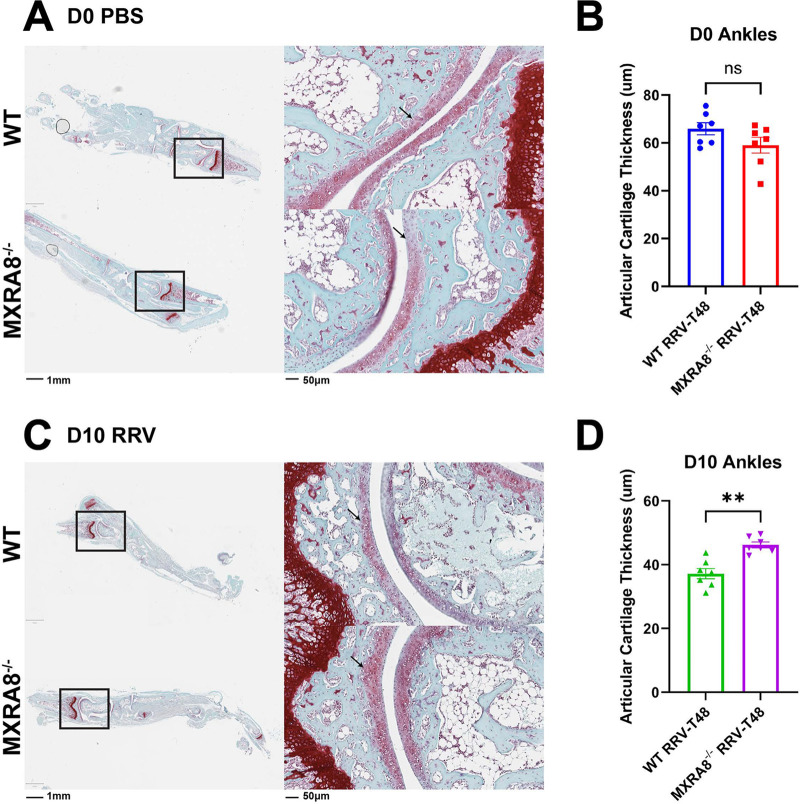 FIG 3