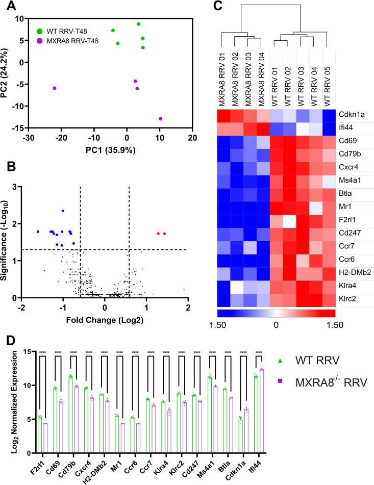 FIG 6