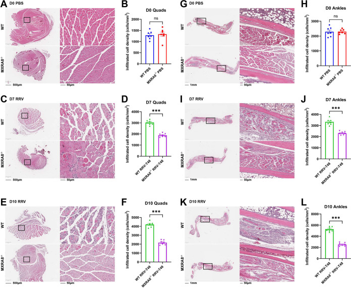 FIG 2