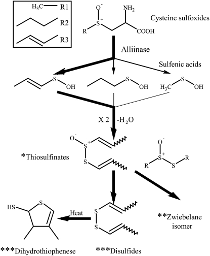 Figure 9.