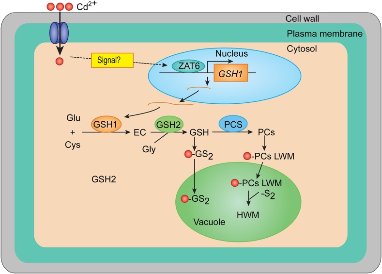 Figure 9.