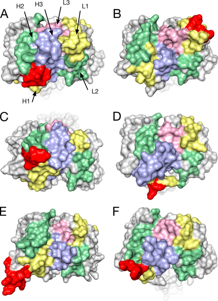 FIGURE 6.