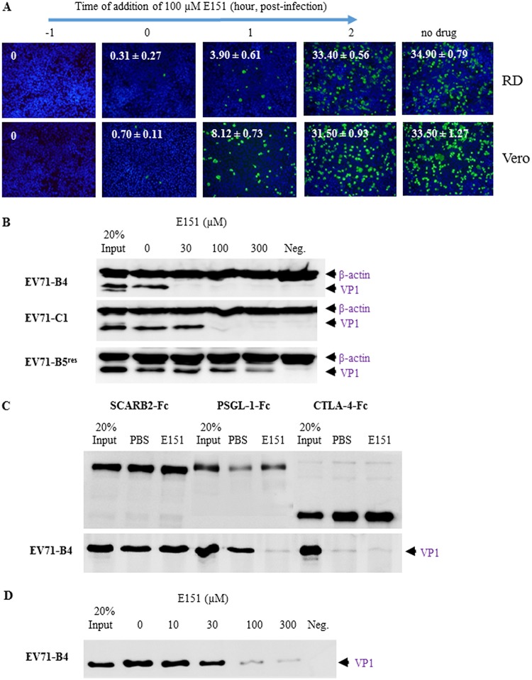 FIG 6