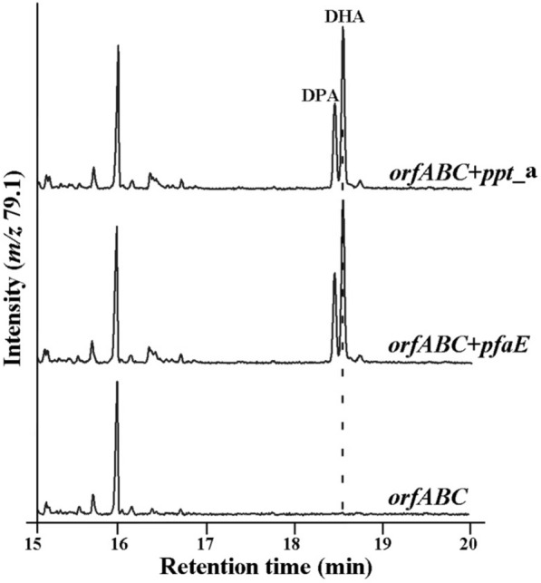 Fig. 2