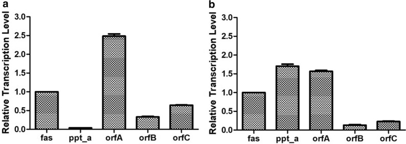 Fig. 4