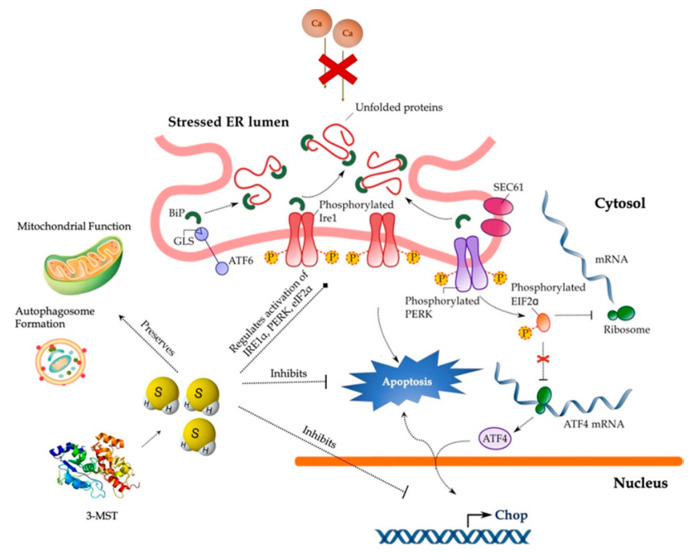 Figure 14