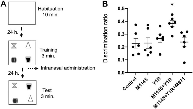 FIGURE 1