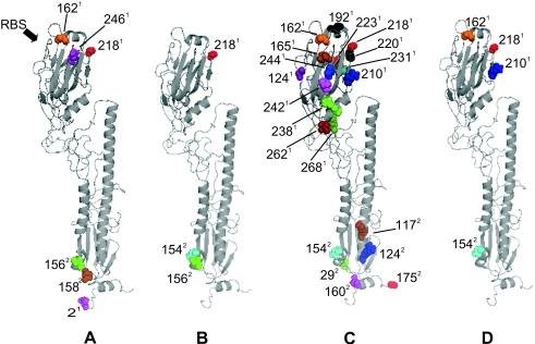 FIG. 8.