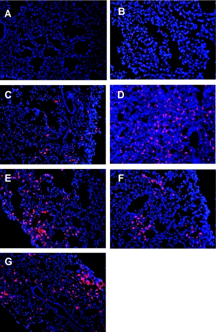 FIG. 7.