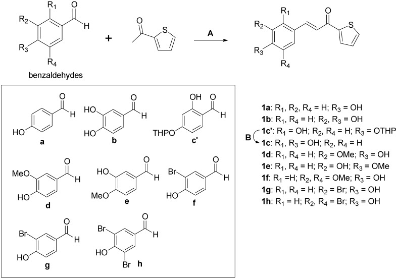 Scheme 1