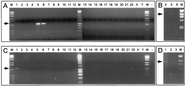 FIG. 4